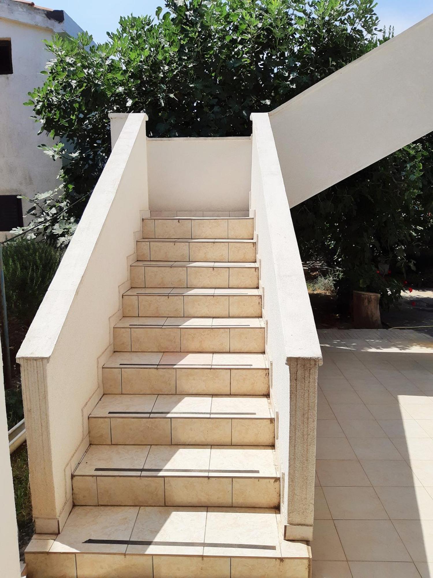 Dalmatino Apartmani Vir Rom bilde